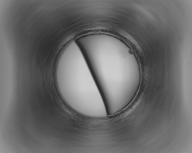 X0000113000826200908270918