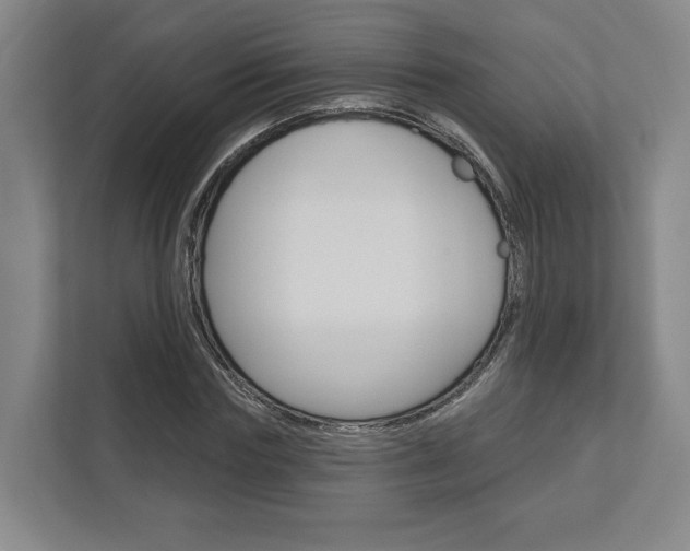 X0000113000827200908270918