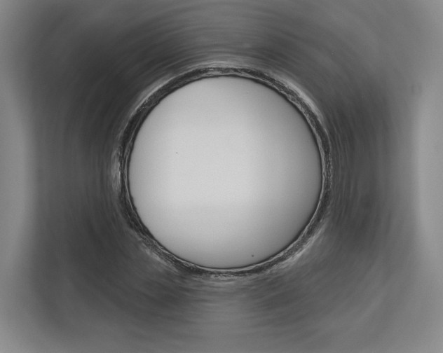 X0000113000829200908270918
