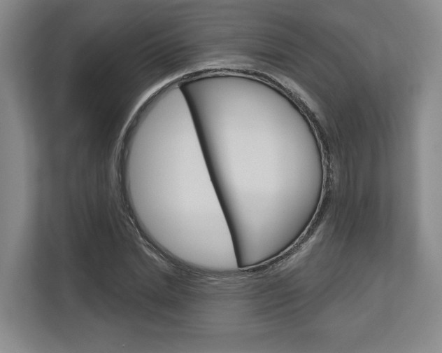 X0000113000830200908270918