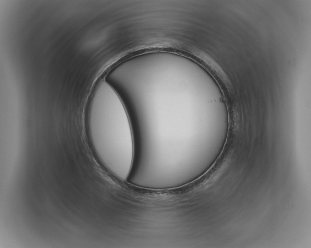X0000113000834200908270918