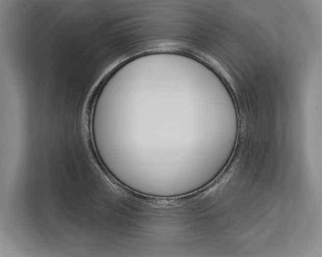 X0000113000835200908270918