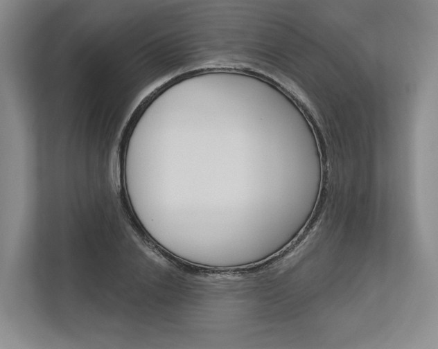 X0000113000838200908270918