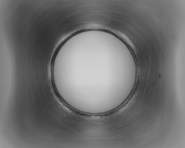 X0000113000839200908270918