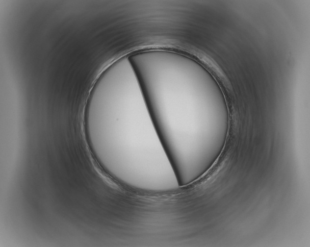 X0000113000842200908270918