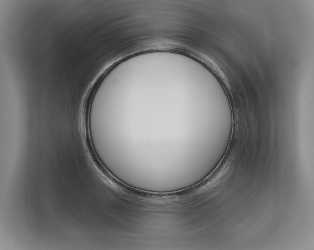 X0000113000843200908270918