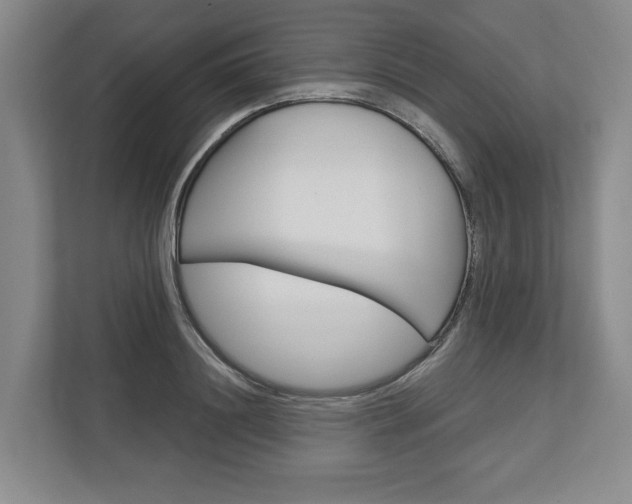 X0000113000844200908270918