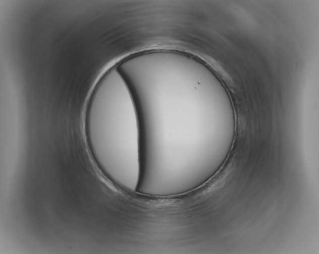 X0000113000846200908270918