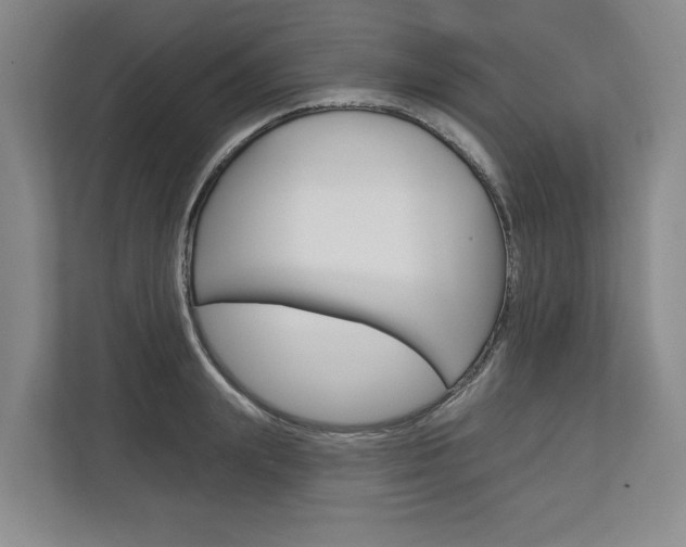 X0000113000847200908270918