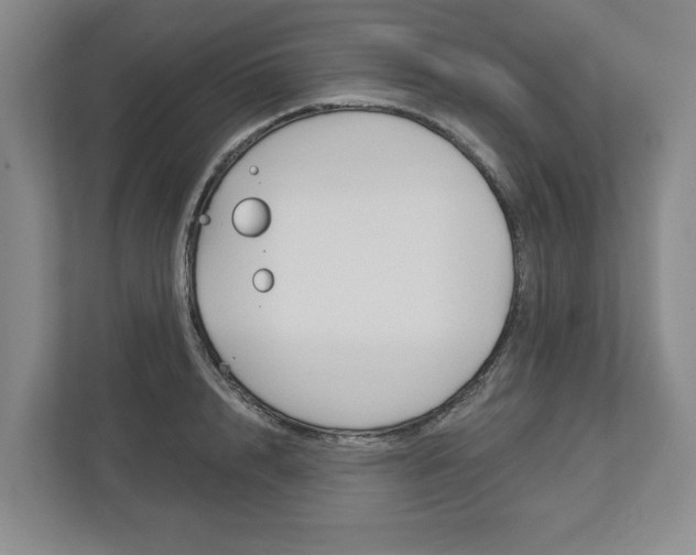 X0000113000848200908270918