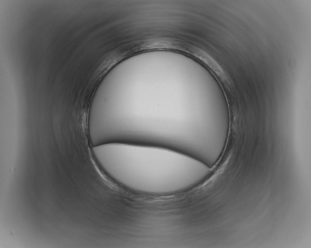 X0000113000849200908270918
