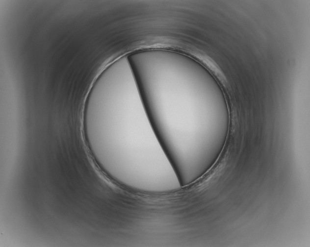 X0000113000850200908270918