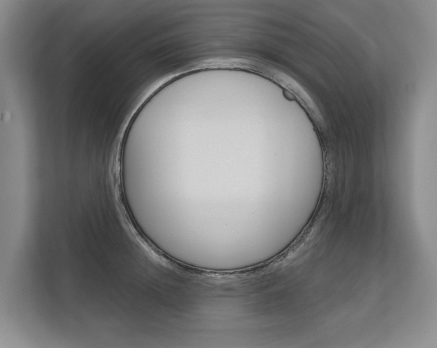X0000113000852200908270918