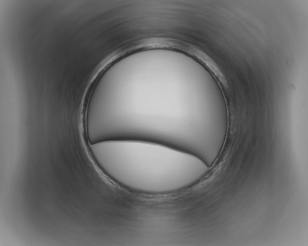 X0000113000853200908270918