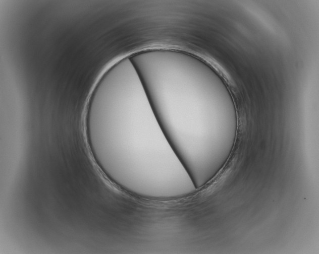 X0000113000854200908270918