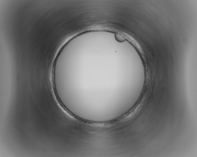 X0000113000855200908270918