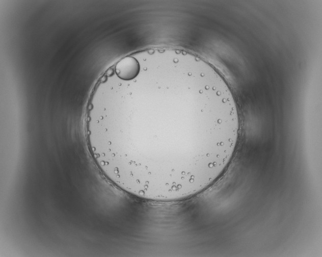 X0000113000856200908270918
