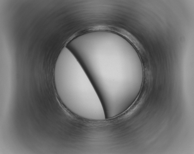 X0000113000857200908270918