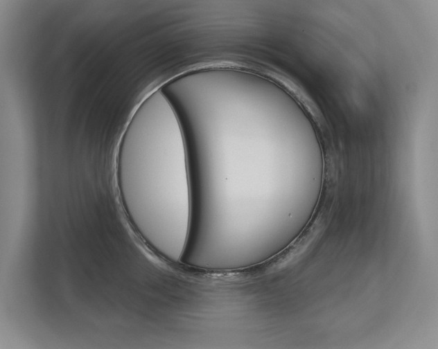 X0000113000858200908270918