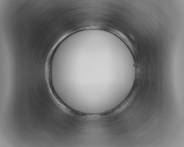 X0000113000859200908270918