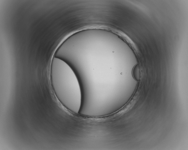 X0000113000860200908270918