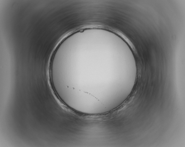 X0000113000861200908270918