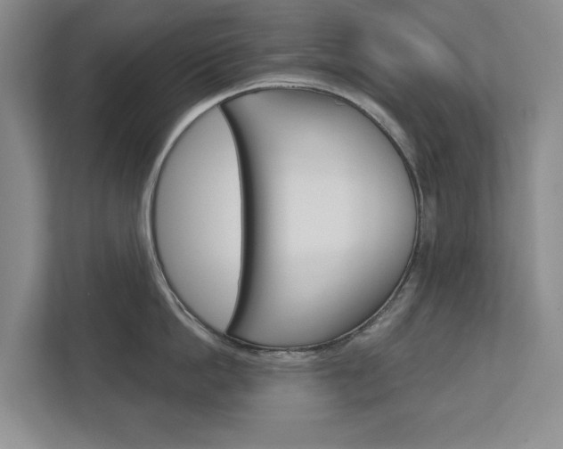 X0000113000862200908270918