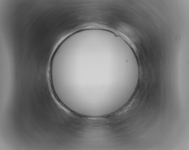 X0000113000863200908270918