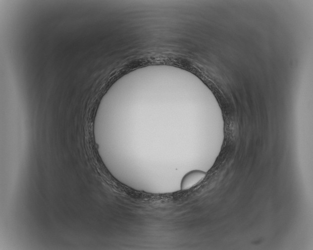 X0000113000865200908270918