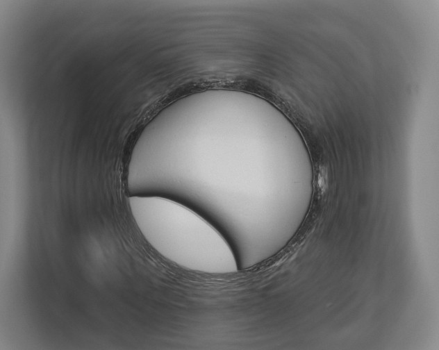 X0000113000867200908270918