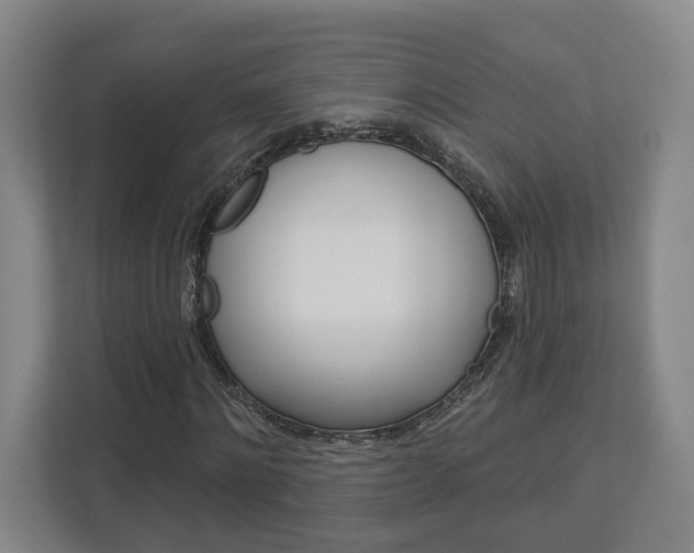 X0000113000868200908270918