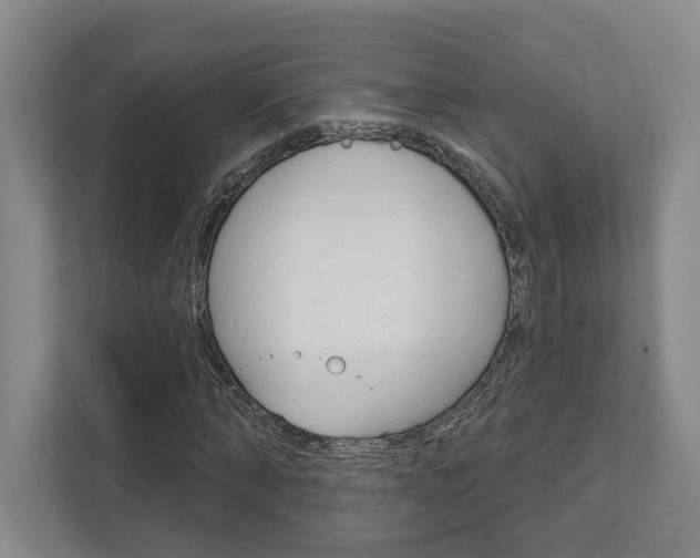 X0000113000870200908270917