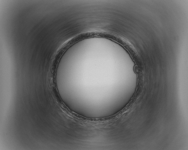 X0000113000872200908270917