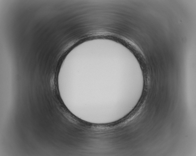 X0000113000873200908270917