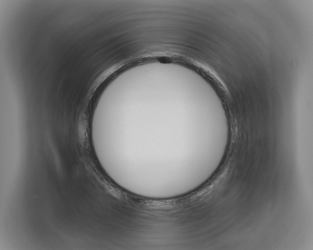 X0000113000874200908270917