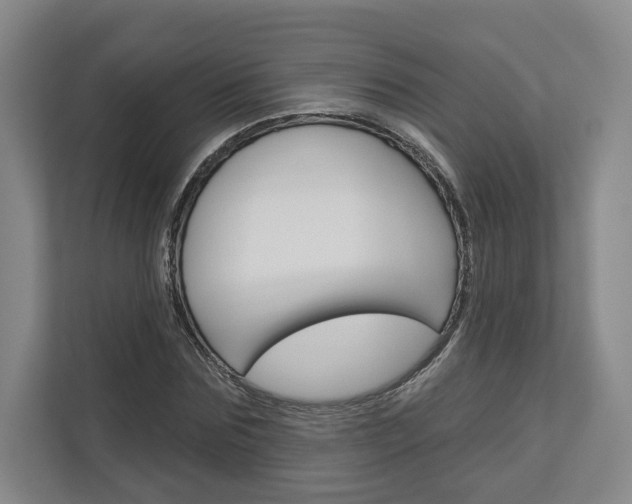 X0000113000875200908270917
