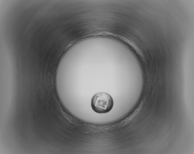 X0000113000881200908270917