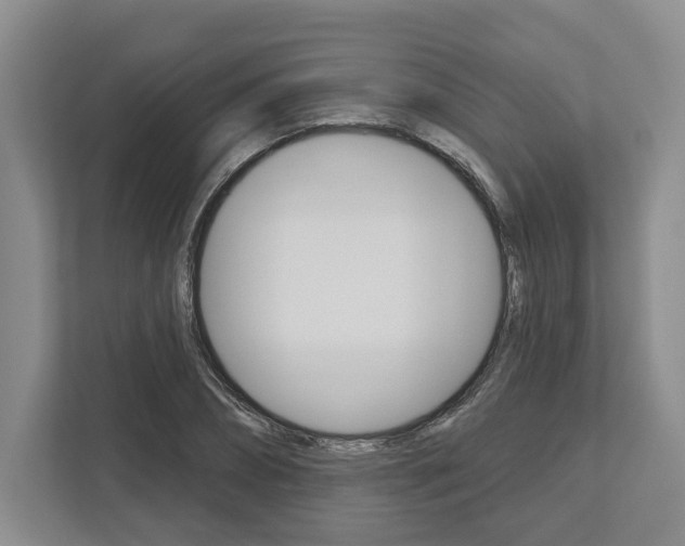 X0000113000882200908270917