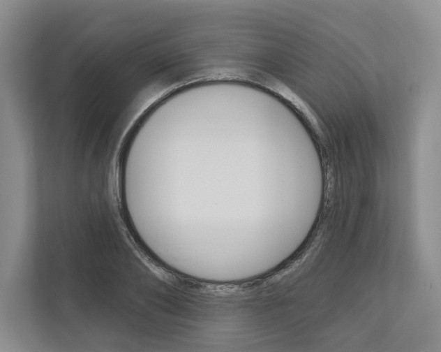 X0000113000886200908270917