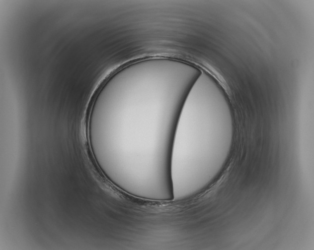 X0000113000891200908270917