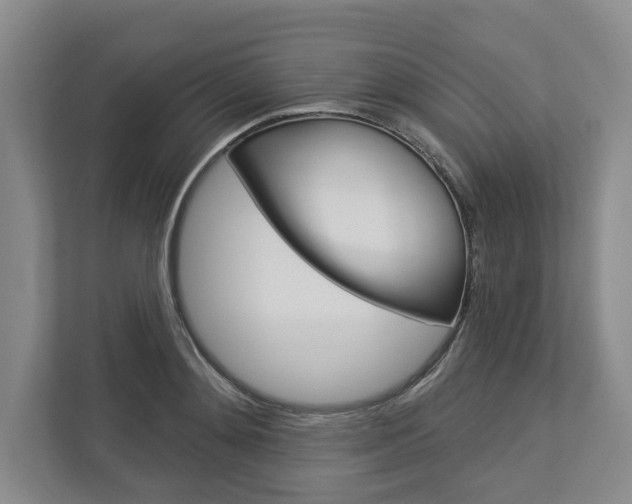 X0000113000892200908270917