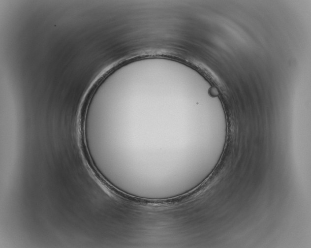 X0000113000894200908270917