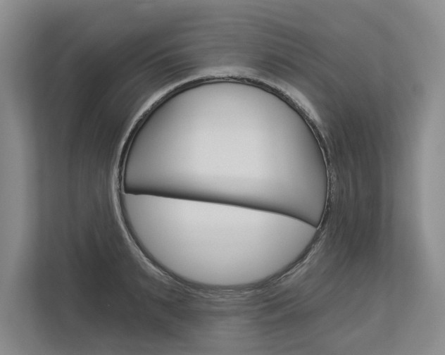 X0000113000895200908270917