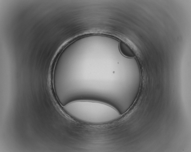 X0000113000896200908270917
