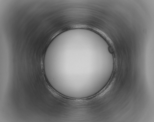 X0000113000897200908270917