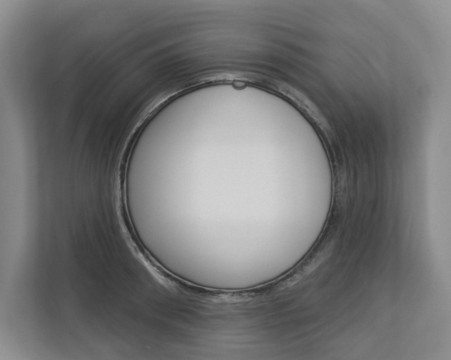X0000113000898200908270917