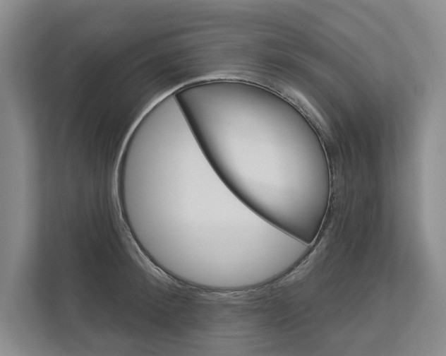 X0000113000900200908270917