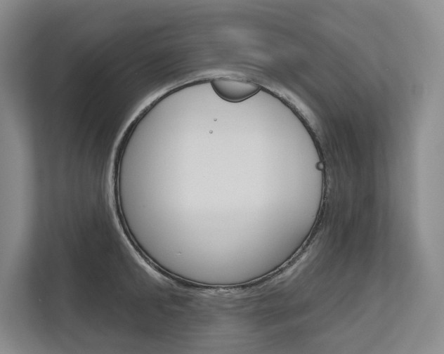 X0000113000902200908270917