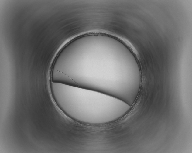 X0000113000903200908270917