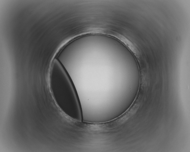 X0000113000904200908270917